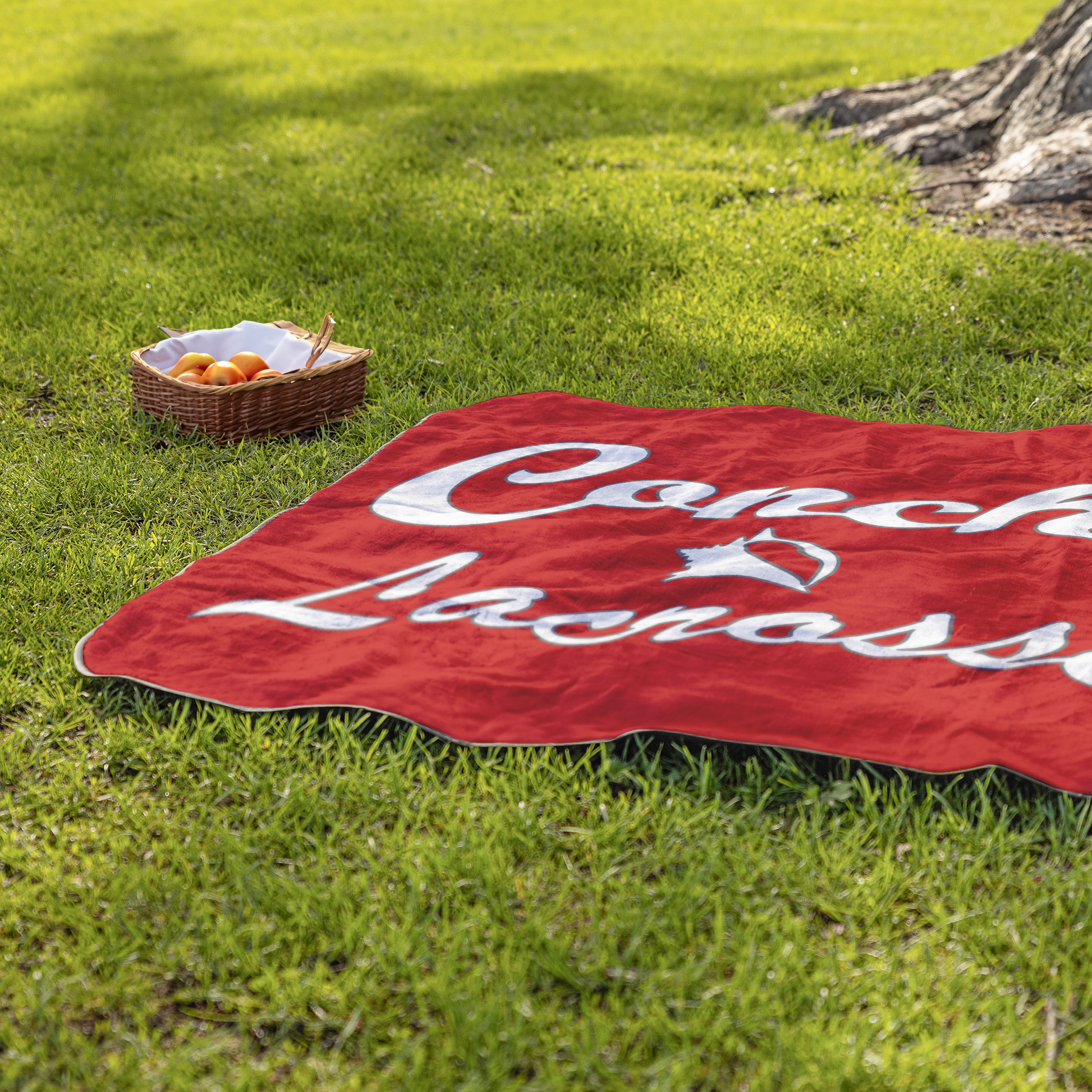 KWHS_Lacrosse_-_Stadium_Blanket_StadiumBlanket_Lifestyle_Grass_H_Mockup.png